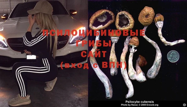 COCAINE Верея