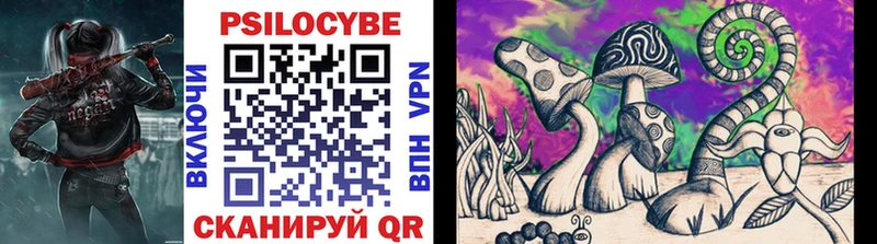 Псилоцибиновые грибы Cubensis  цены наркотик  Обь 